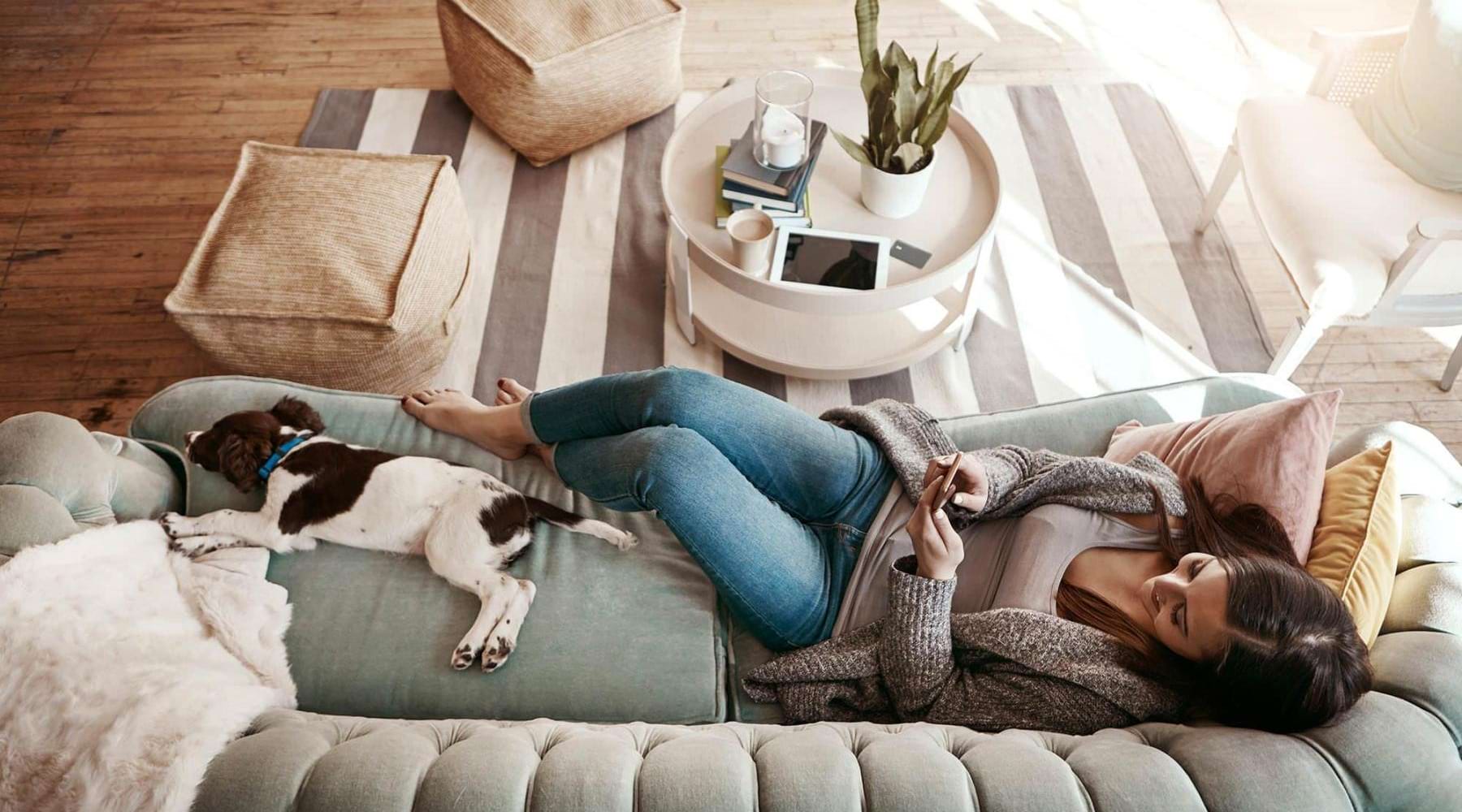 We welcome all your furry friends overhead view of  a woman texting as she lies on a couch with a dog at her feet